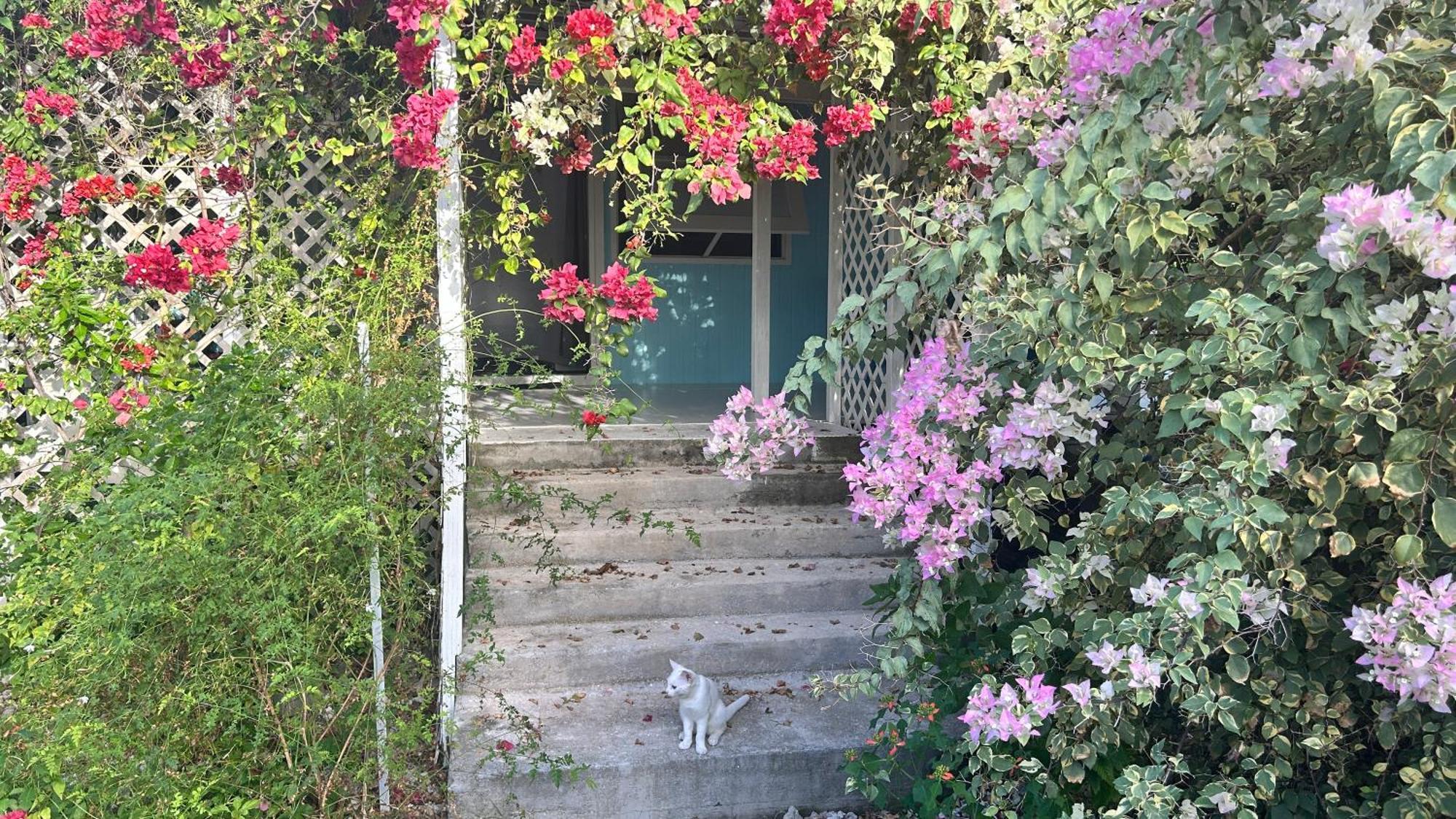 Bed and Breakfast Le Fare Eco Tiputa Exterior foto
